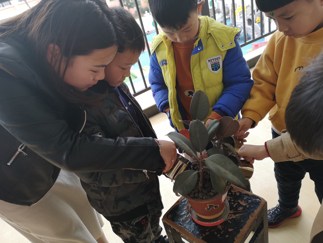 QQ截图20190312163345.png