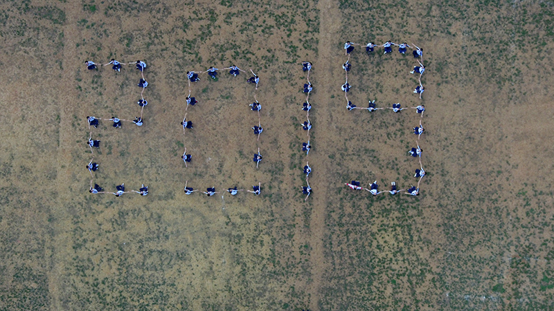 DJI_0769.jpg
