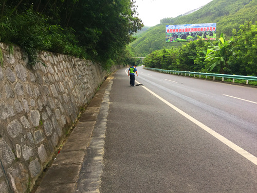 清路障  除隐患.jpg