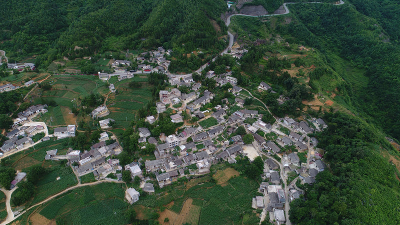DJI_0008.jpg