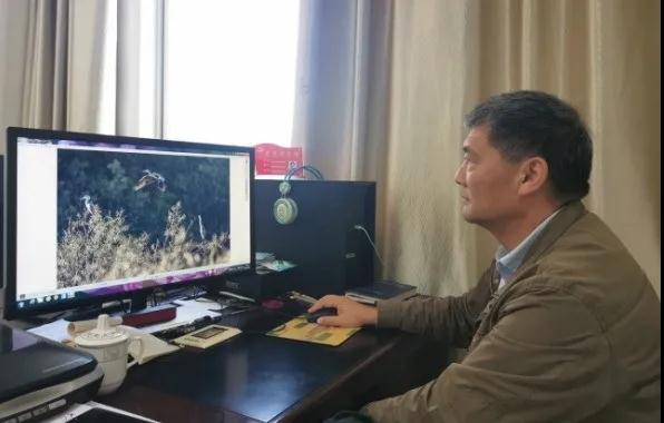 黔西南日报资深摄影记者邢贵龙自2014年以来，坚持拍摄州内珍稀鸟类，目前已整理归档迁徙黔西南越冬候鸟和州内本土鸟类近百种，拍摄照片5000余张，为黔西南开展鸟类保护提供了详实的资料照片。彭高琴 摄.jpg