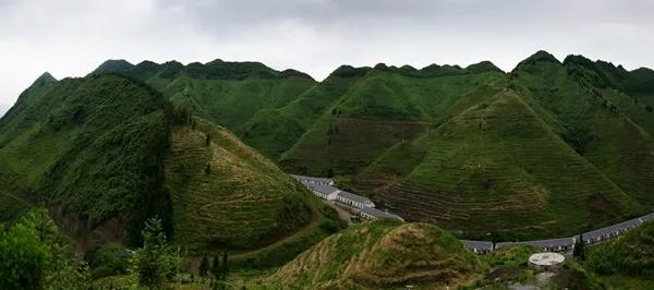 1640329640133036370.jpg 1640329640133036370.jpg