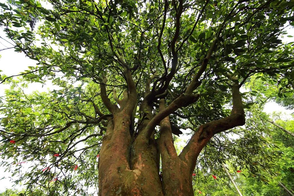 1640329667961018088.jpg 1640329667961018088.jpg