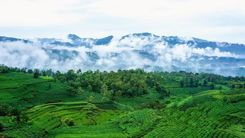 1640329732707025509.jpg 1640329732707025509.jpg