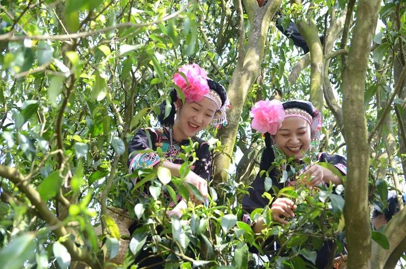 1640329832572079502.jpg 1640329832572079502.jpg