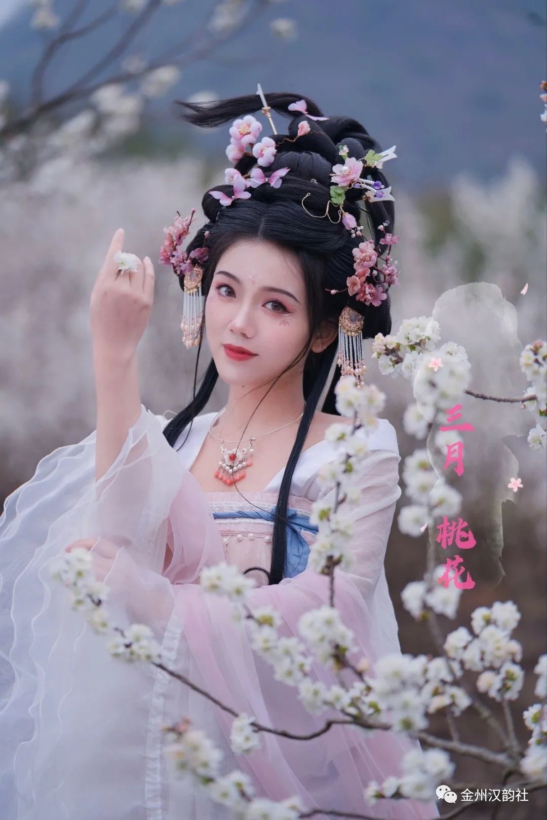 荷花.jpg