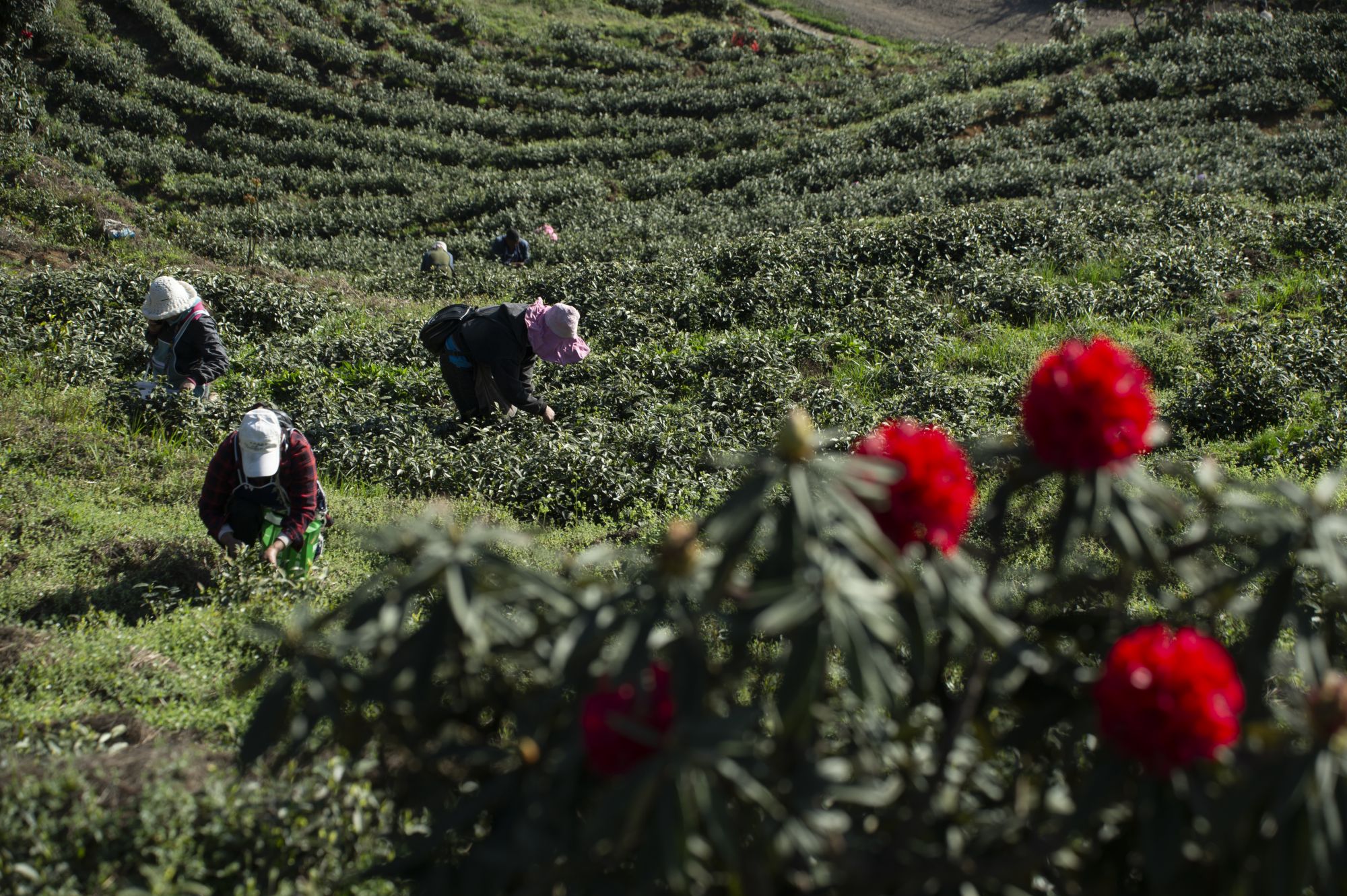 1679725163359045059.jpg _YXQ0268.jpg