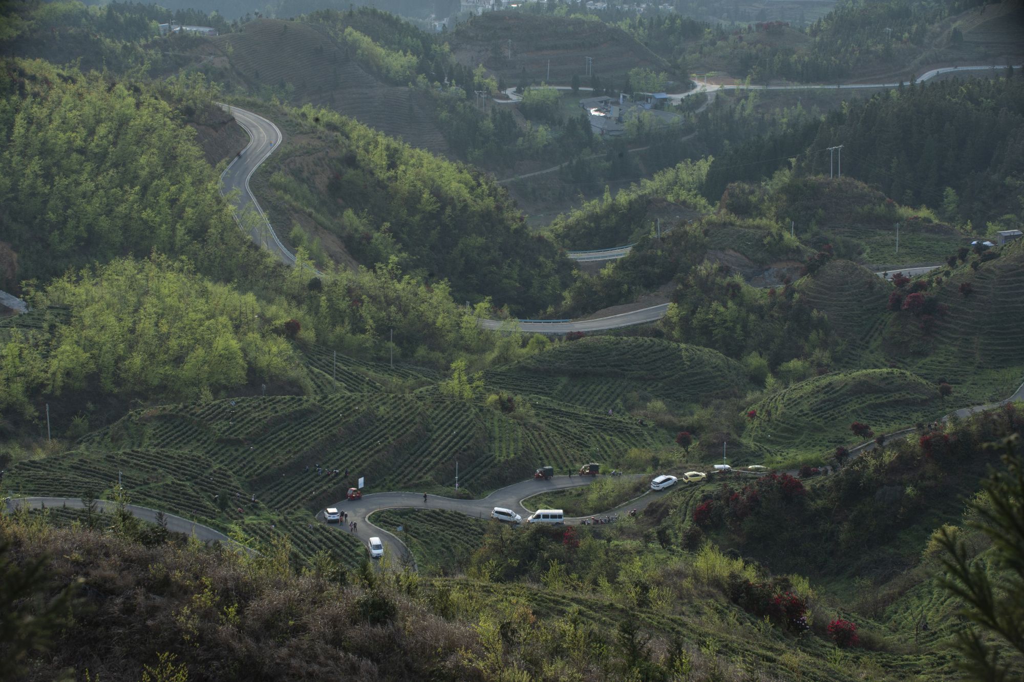 1679725193925076803.jpg _YXQ0147.jpg