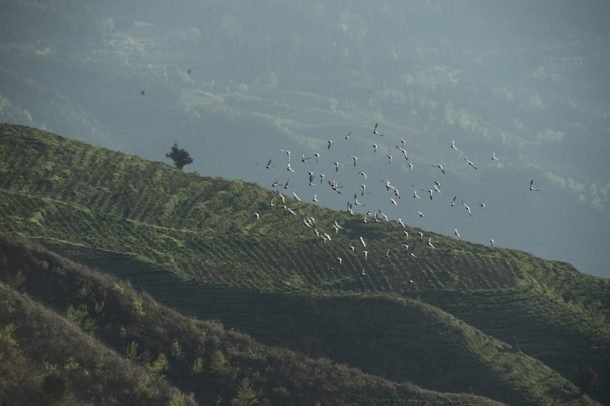 1679725224347051814.jpg _YXQ0171.jpg