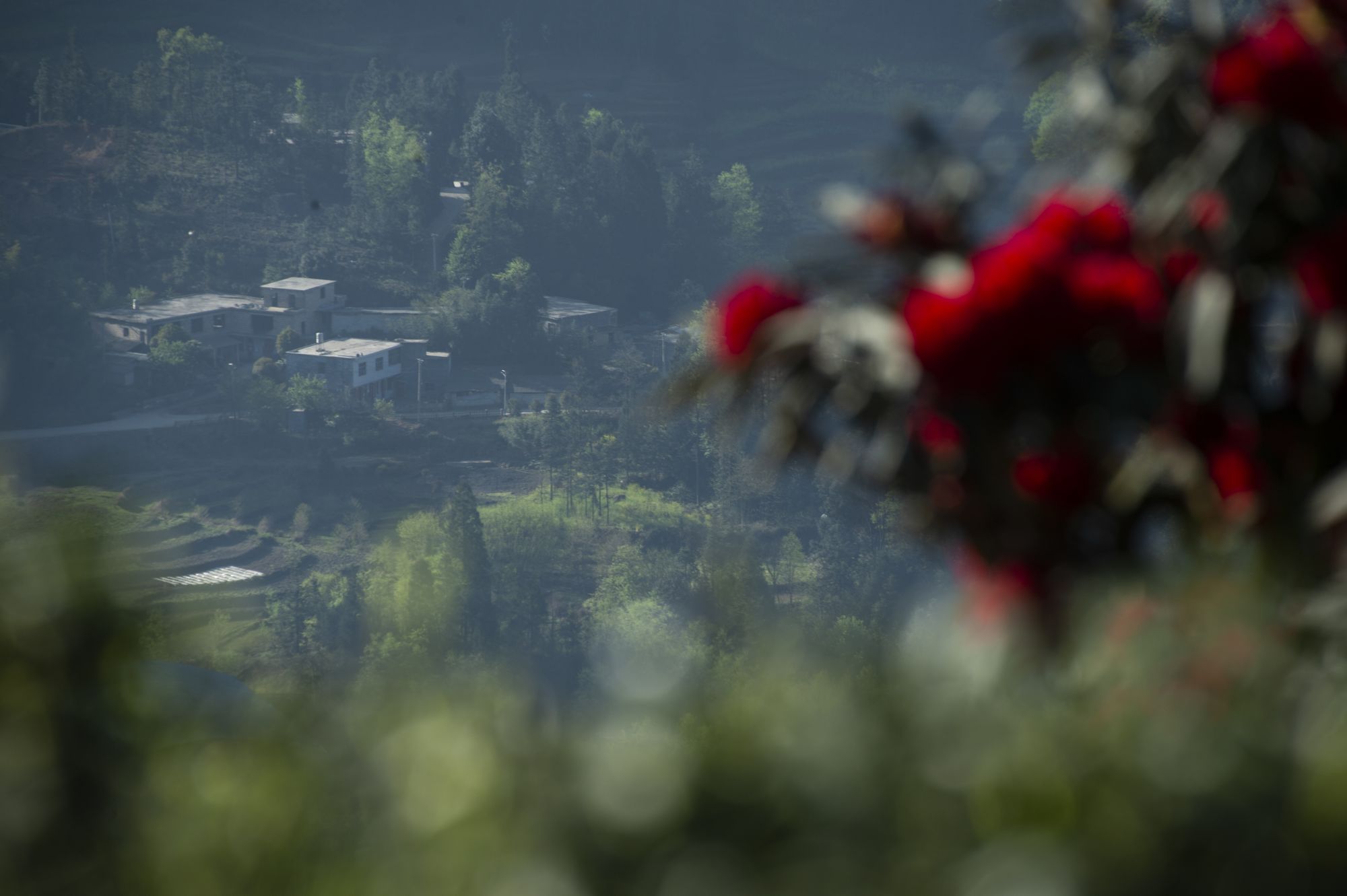 1679725283915075793.jpg _YXQ0247.jpg