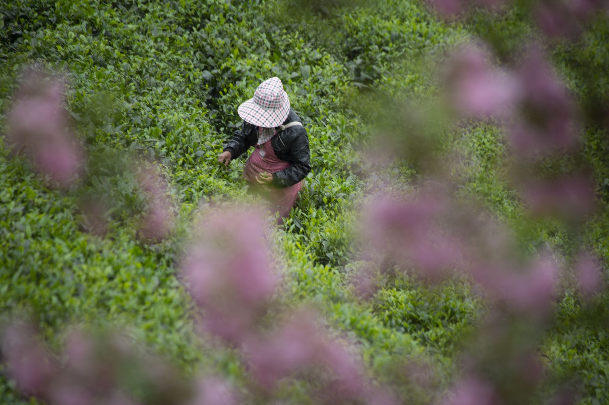 1679725336174035196.jpg _YXQ0684.jpg