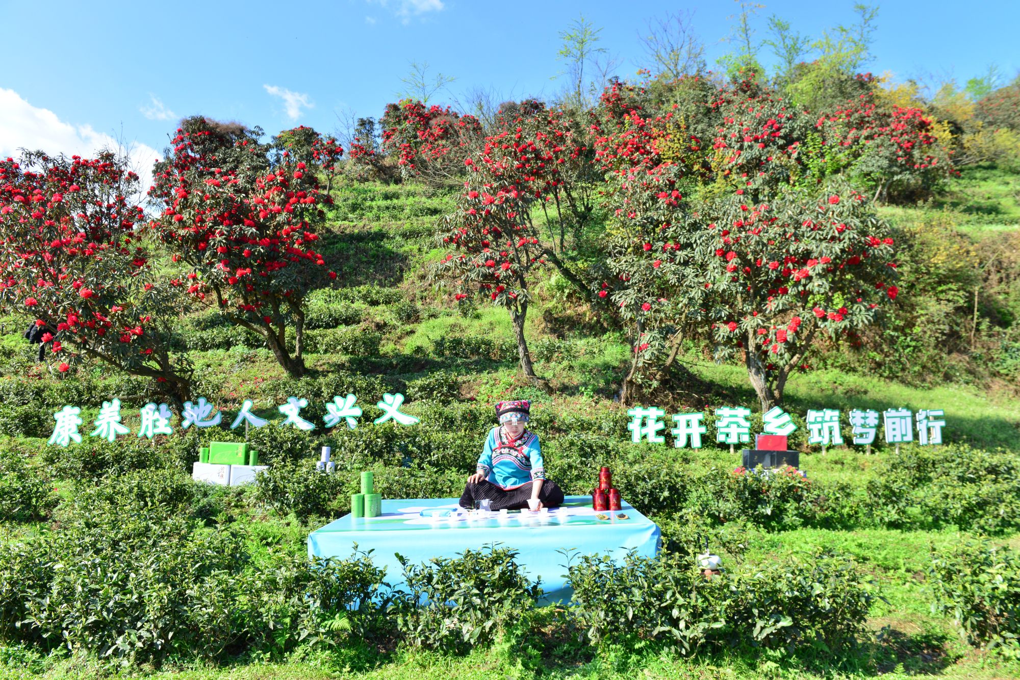 1679725444557085163.jpg 摄影:祥子 (7).jpg