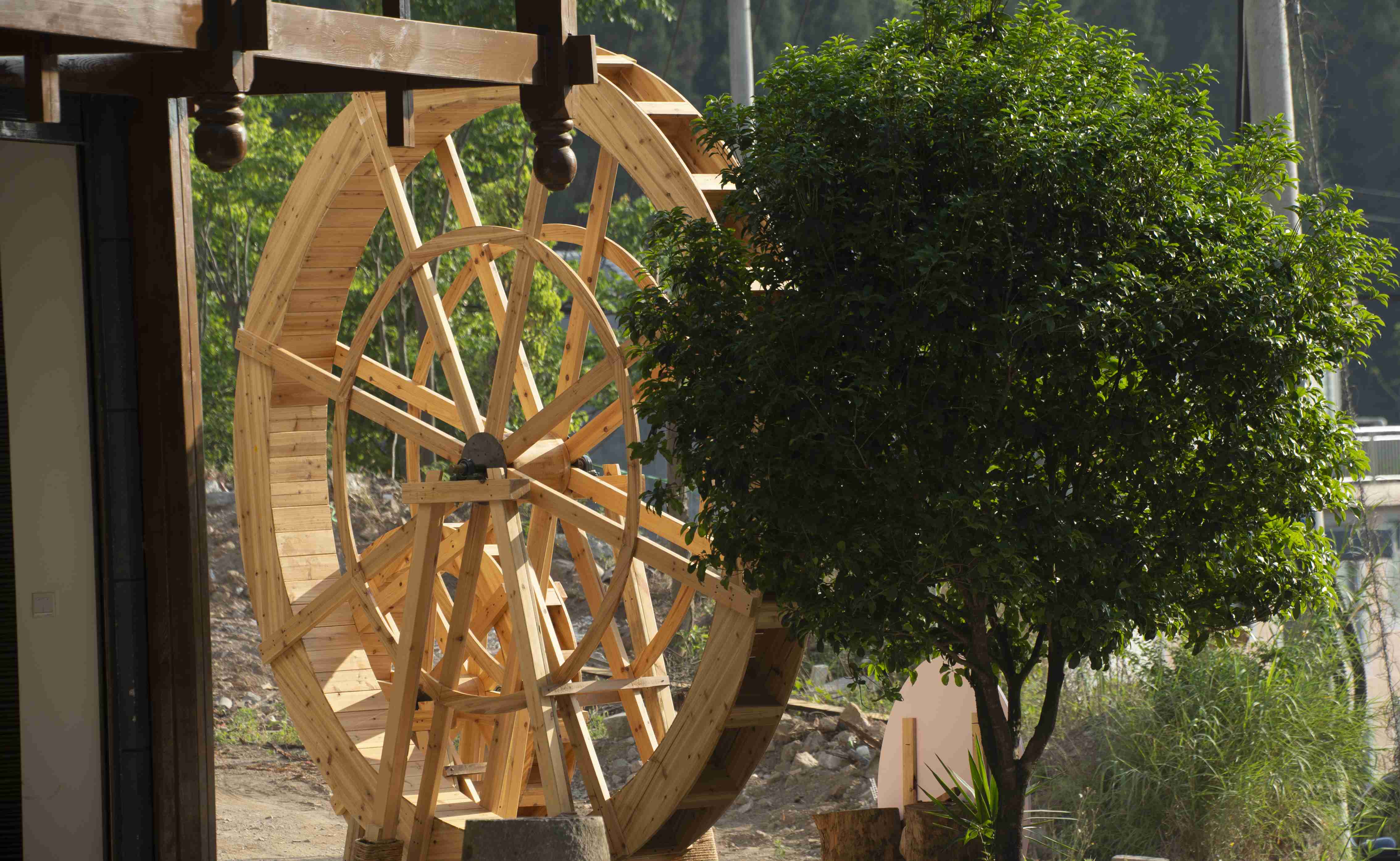 1682728884172048984.jpg _YXQ5103.jpg