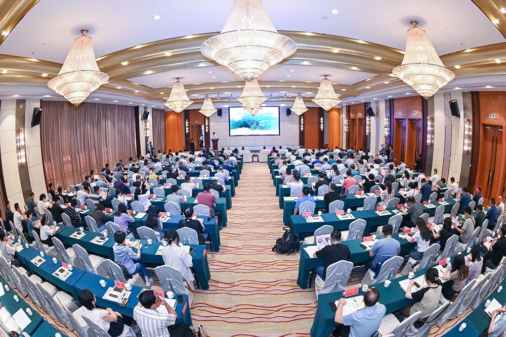 1683366174131026826.jpg 会议现场 姚宁 摄.jpg