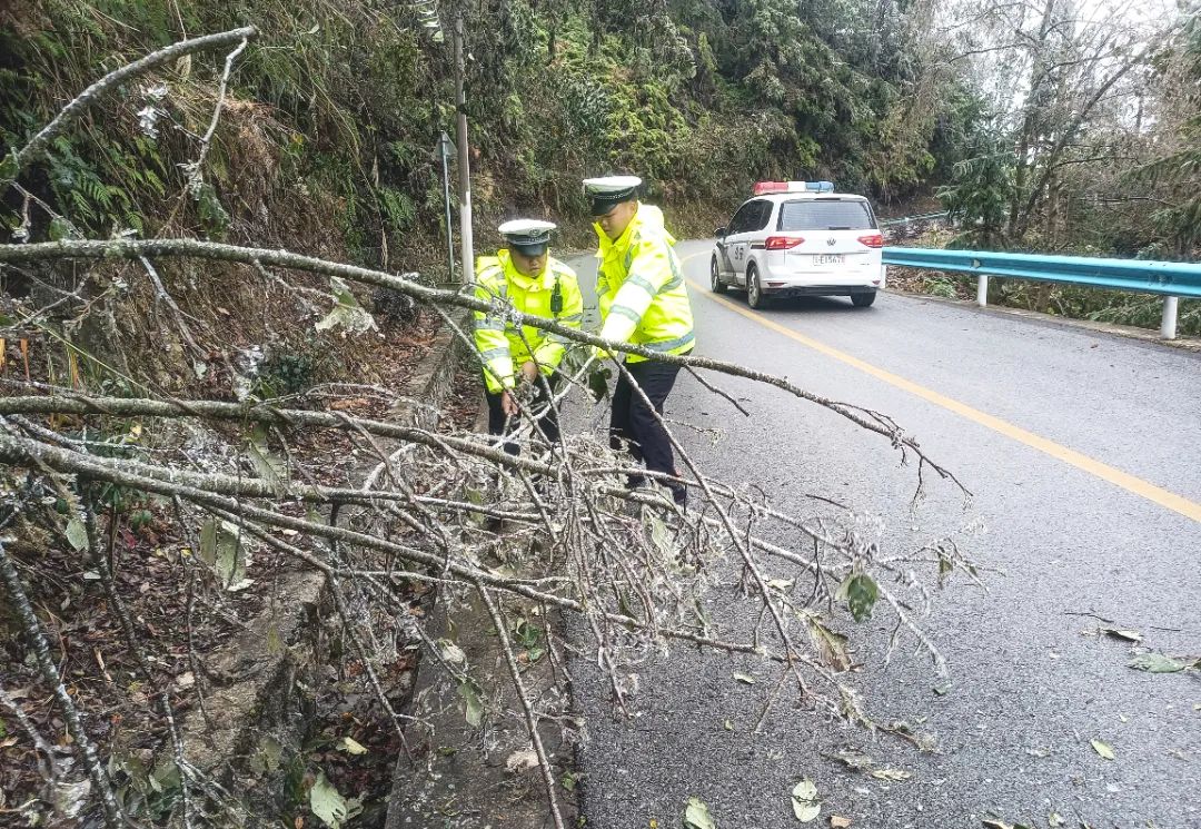 1703140844265039305.jpg 1703140844265039305.jpg