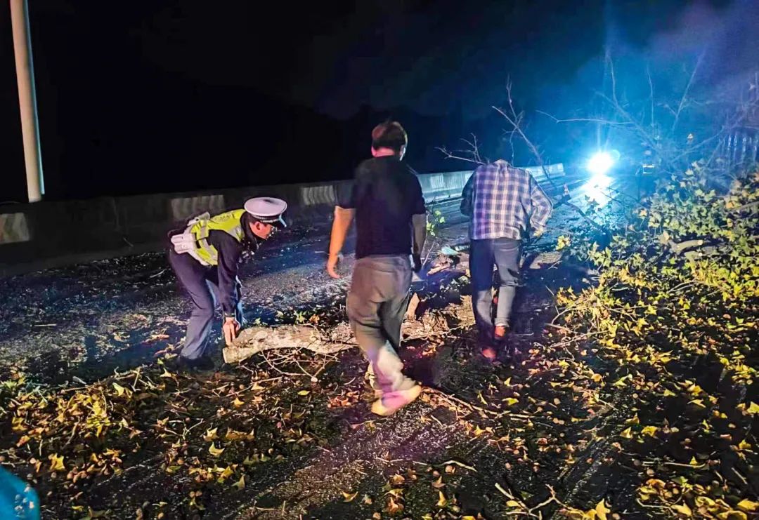 1703140914965032293.jpg 640 (7).jpg