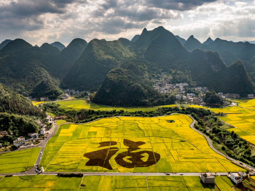 微信截图_20240831154316.png