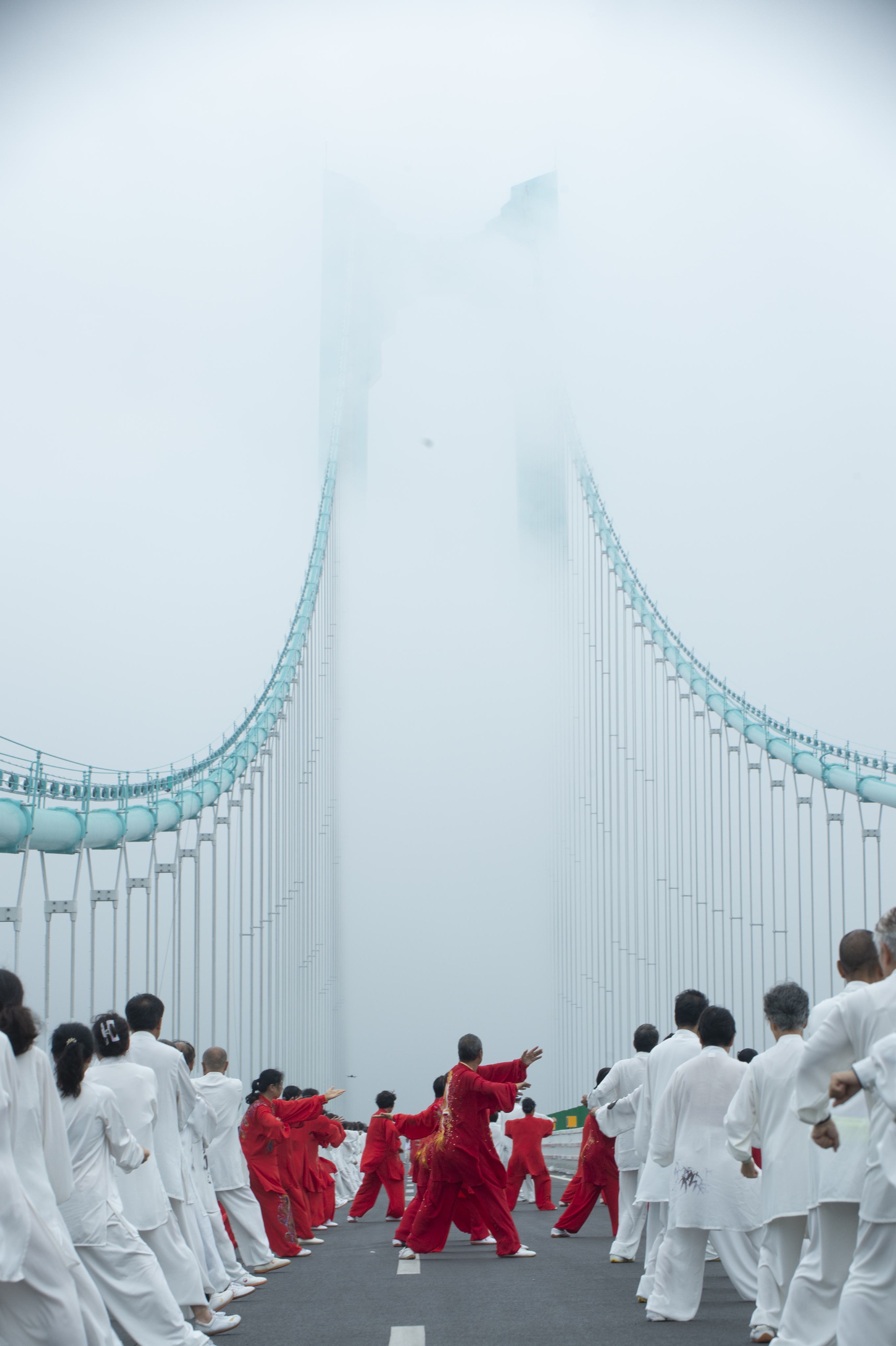 1758529364332005428.jpg _YXQ8511.jpg