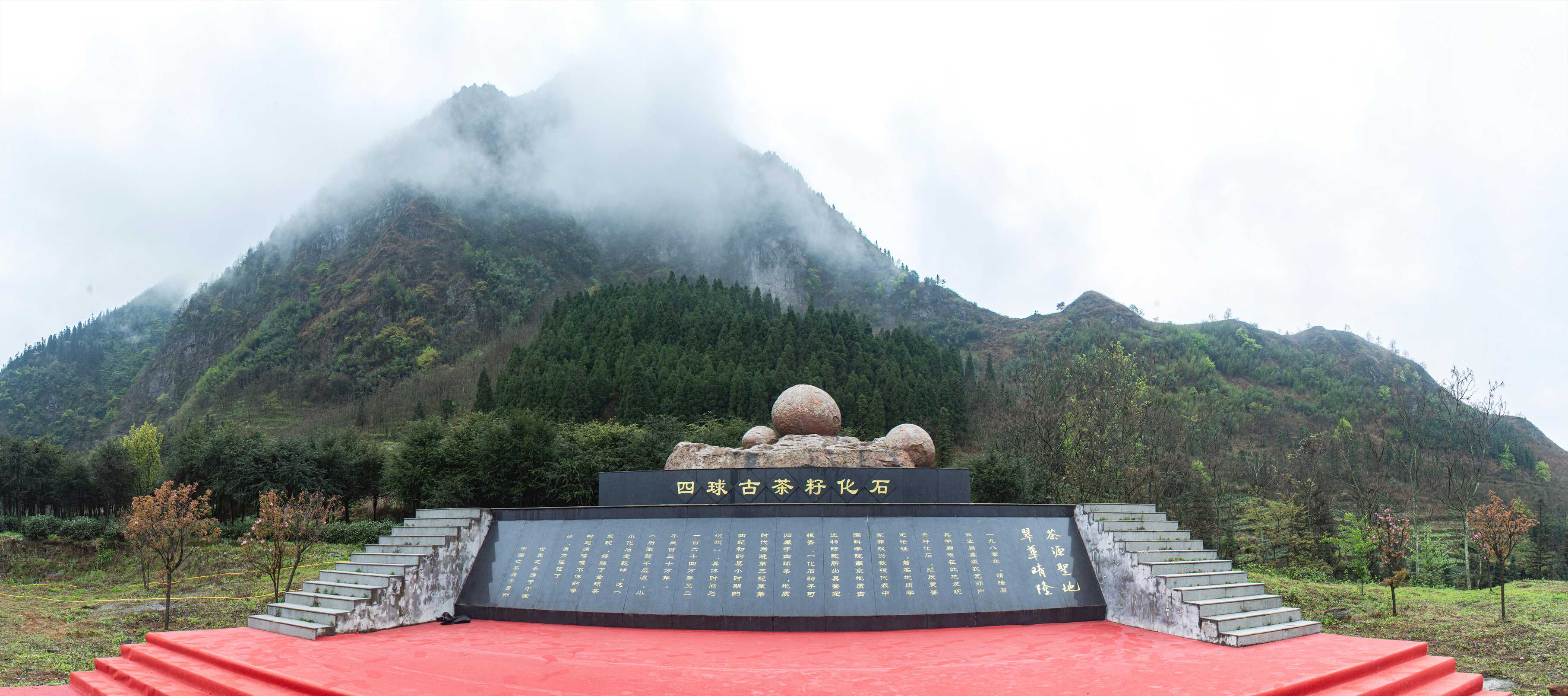 1774269319813095514.jpg 1774269319813095514.jpg