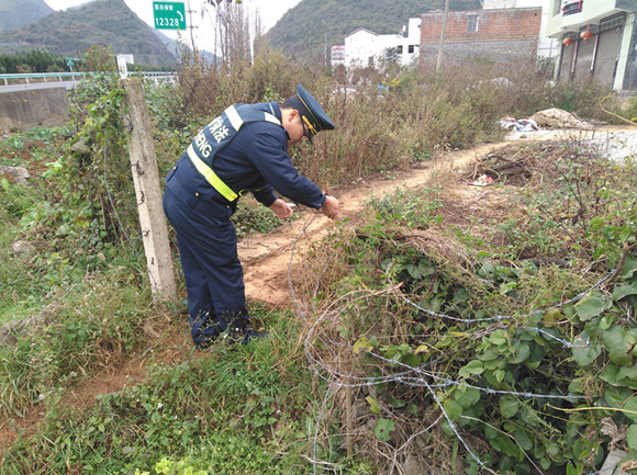 发现道口.jpg