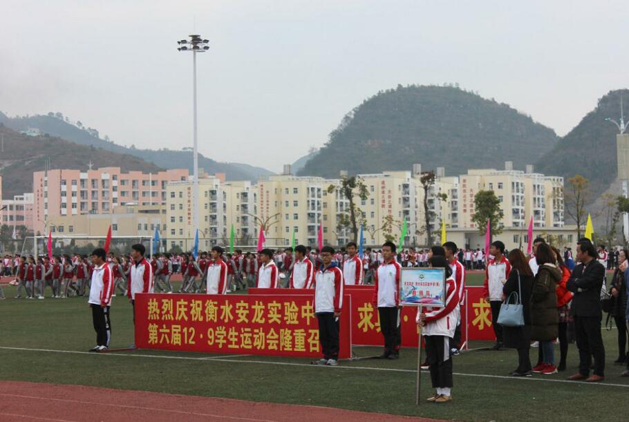 1543478376637081237.jpg 1.jpg