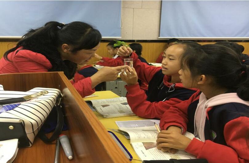 陈维老师在课堂指导学生观看植物根尖结构.jpg