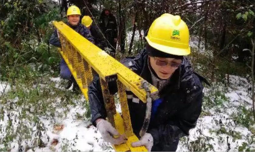 1546246673438019675.jpg 4.jpg