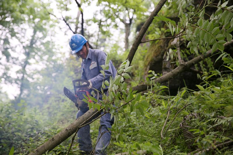 1559629825046094456.jpg -1.jpg