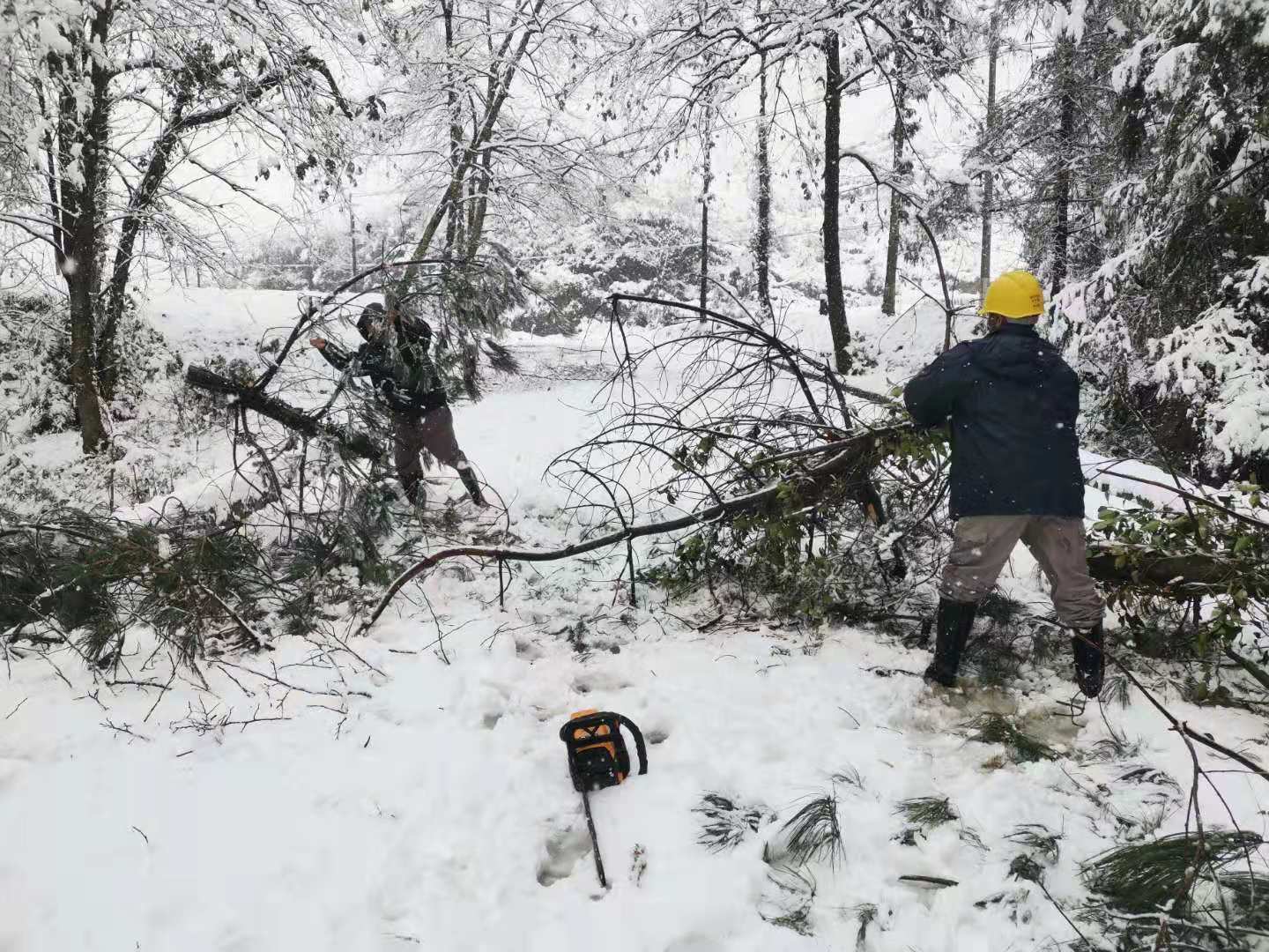 1580175514620056341.jpg 清除路障.jpg