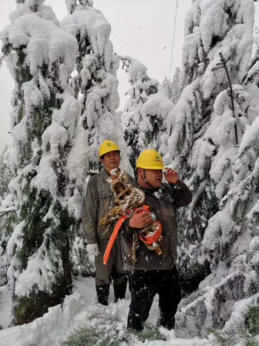 1580175538805031083.jpg 微信图片_20200126110029.jpg