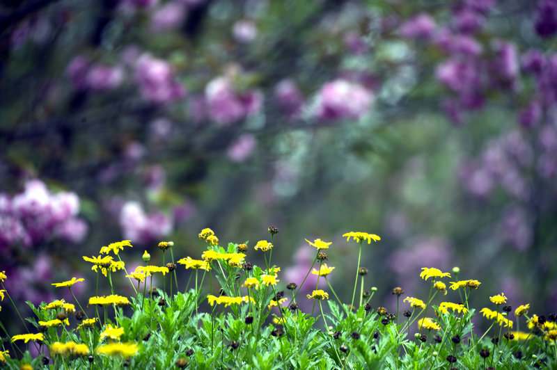 1583400247319086019.jpg _YXQ2649_副本.jpg