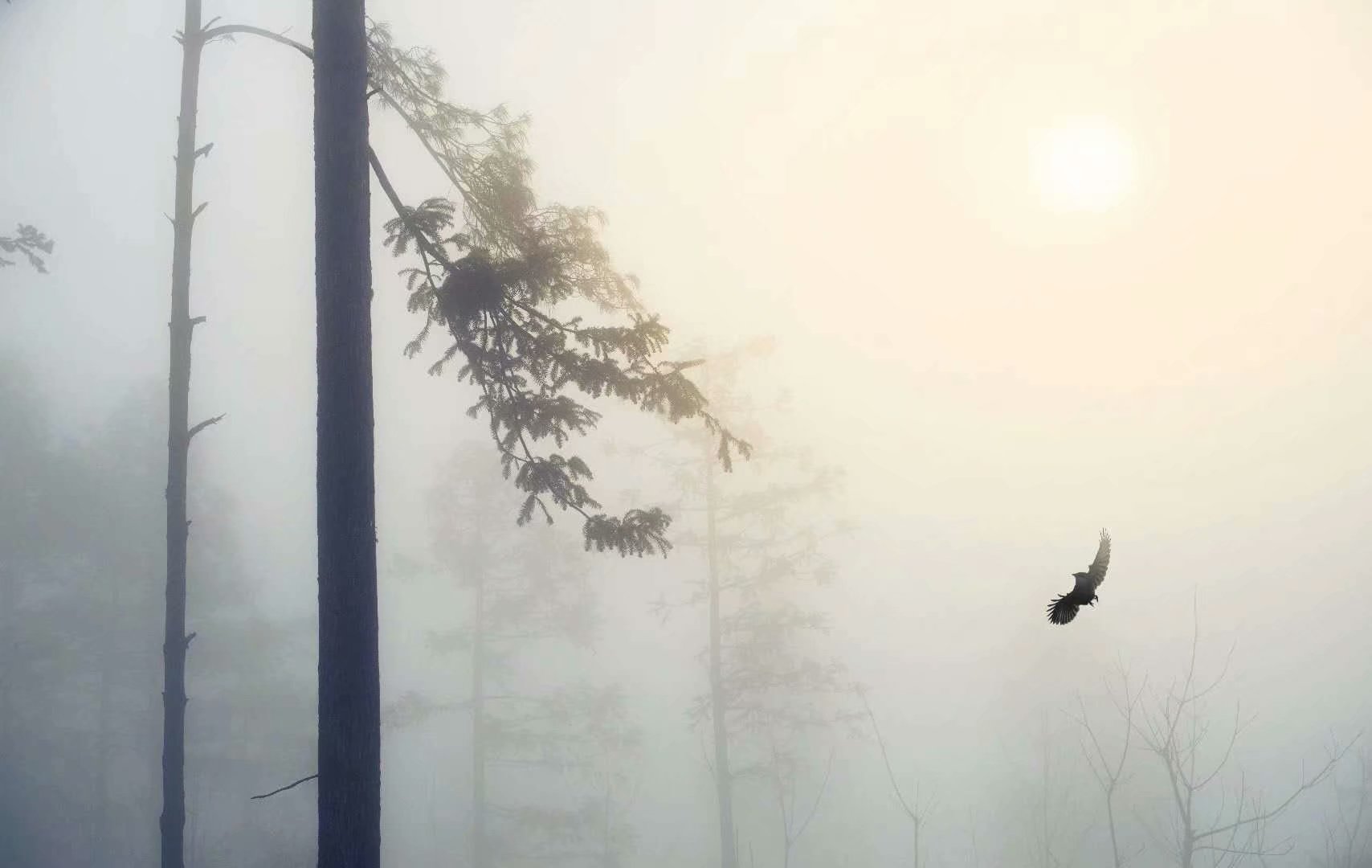 1583419281033011372.jpg 曾文琼(1).jpg