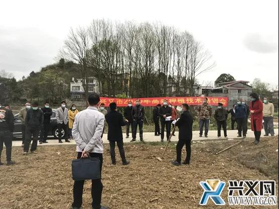 兴义1.jpg