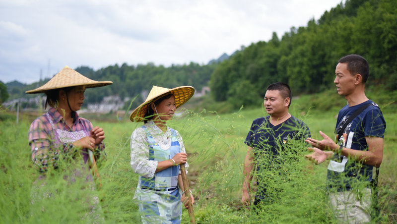 图4.尽锐出战，到极贫乡镇田间地头中带动产业发展（雷文兴-摄）.jpg