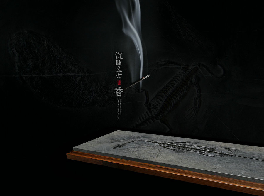 1597760993965031918.jpg 微信图片_20200818205539.jpg