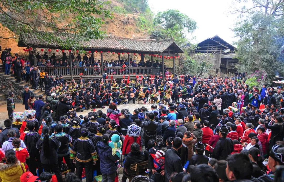 1603792018079044384.jpg 2.jpg