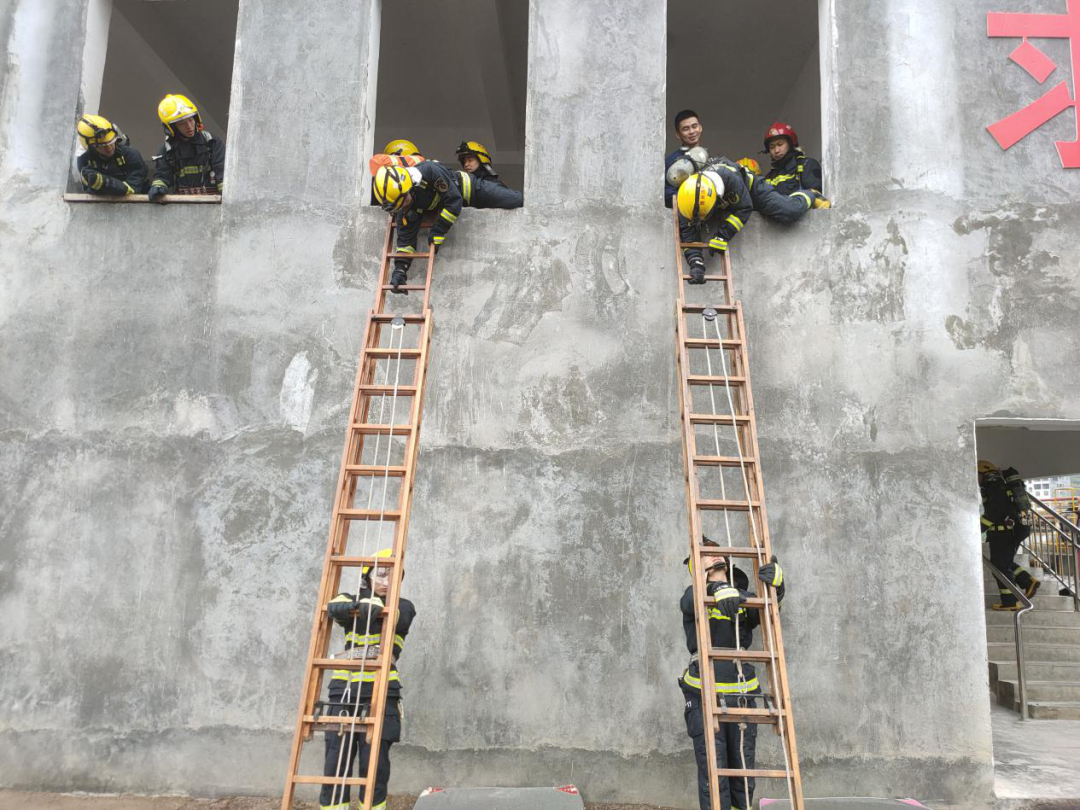 1603972467323042204.png 1603972467323042204.png