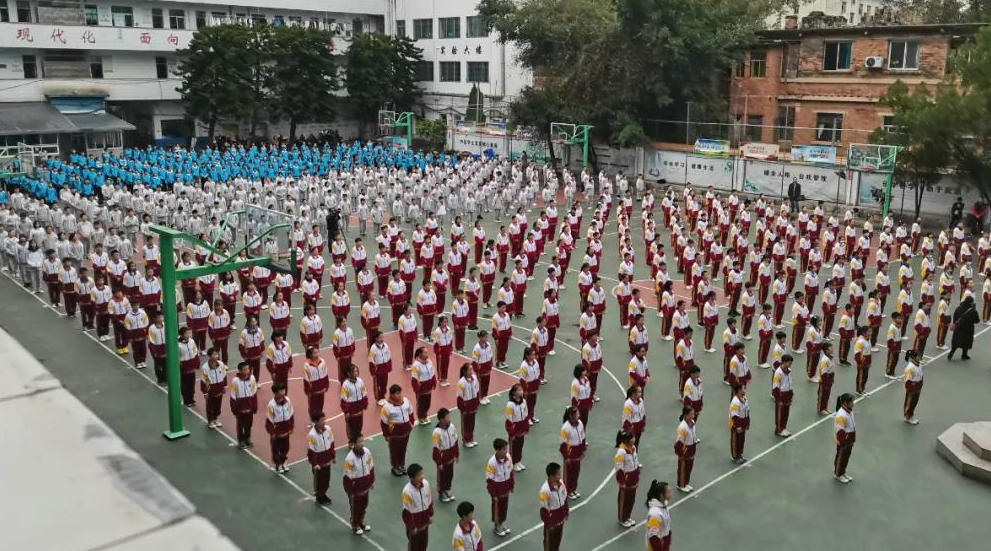 1606531008479049407.jpg 1606531008479049407.jpg