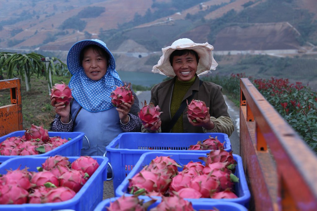 1606983403294078042.jpg 1606983403294078042.jpg