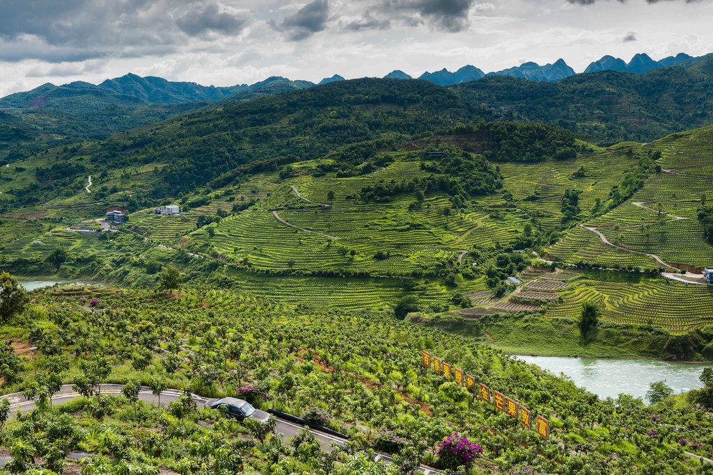 1606983620168089262.jpg 图4.贫困山区的脱贫宝贝:百香果脱贫,金芒果致富,老百姓的生活就像火龙果一样红红火火。 雷文兴 摄_副本.jpg