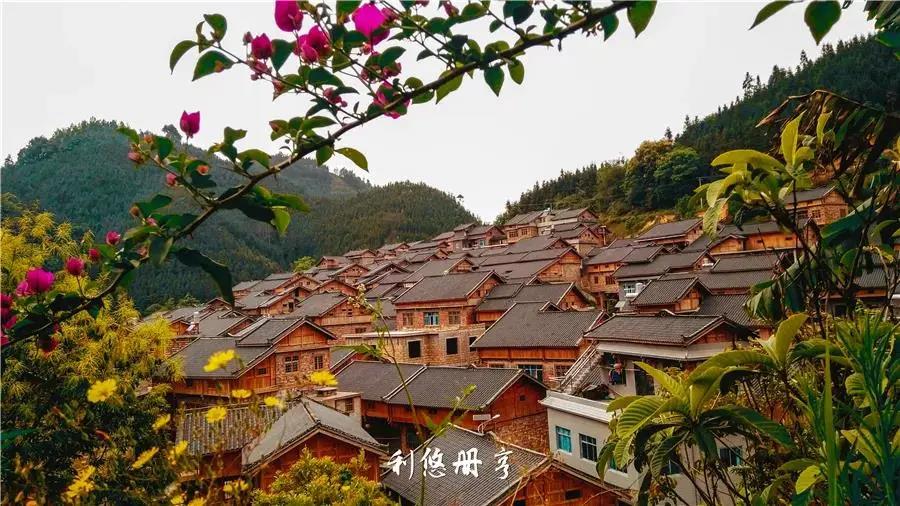 1626248294850057398.jpg 美丽福尧.jpg