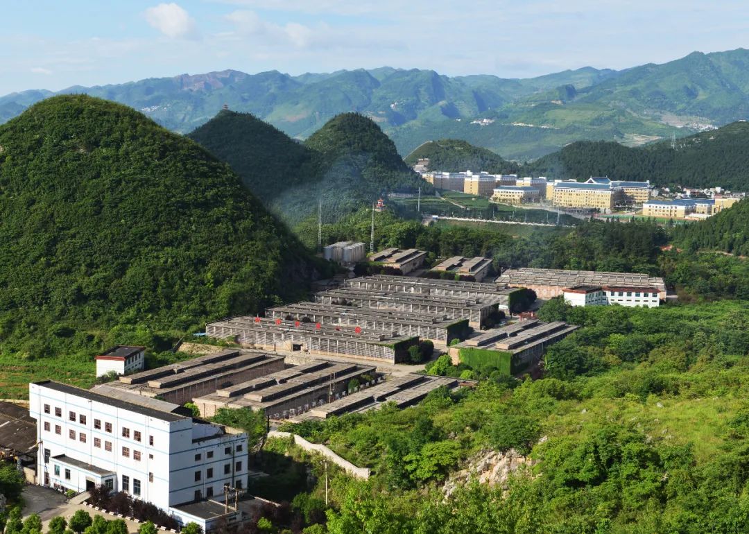 贵州醇9.jpg