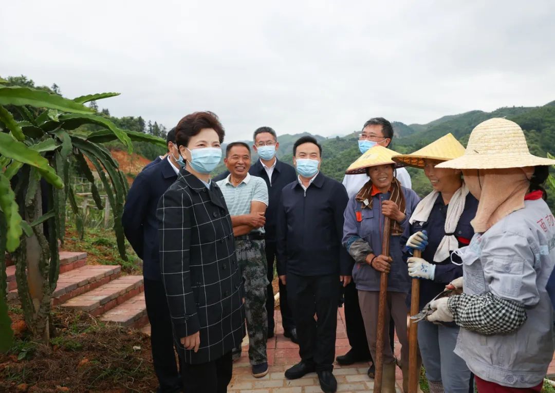 谌贻琴在望谟县平洞街道洛郎村火龙果种植基地与务工群众亲切交流.jpg