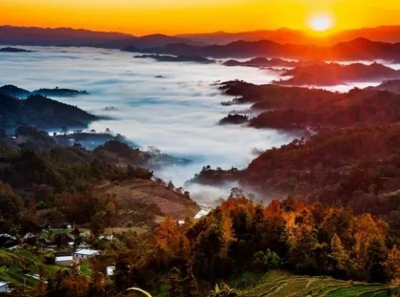 1671788549841019059.jpg 微信图片_20221223171554.jpg