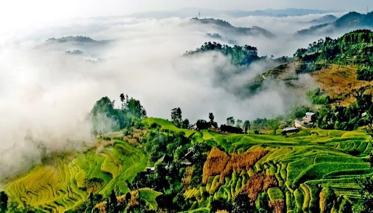 1671788635887044094.jpg 微信图片_20221223171633.jpg