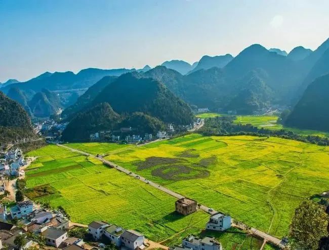 1671888993682009064.jpg 微信图片_20221224210935.jpg