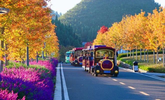 1671889669018050962.jpg 微信图片_20221224212251.jpg