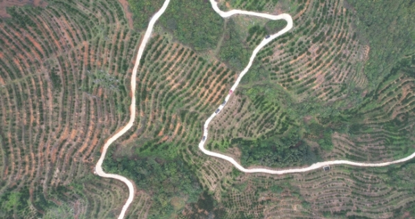 学官社区脐橙种植基地.jpg