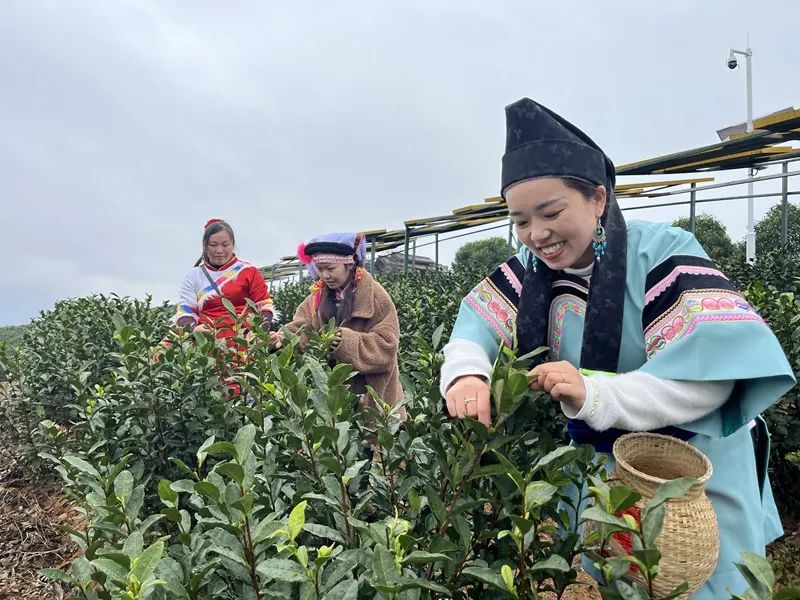 微信图片_20230102145037.jpg