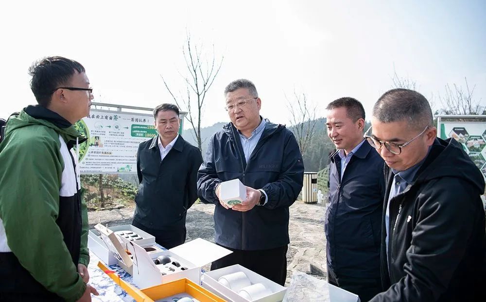 图为在黔仁茶生态园调研.jpg